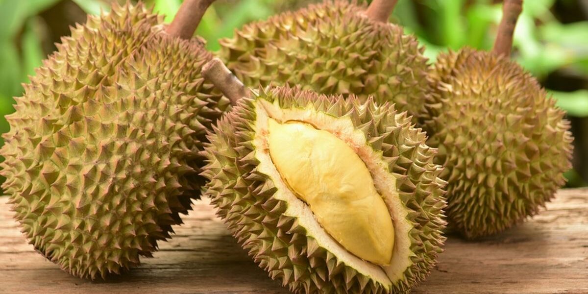 buah durian
